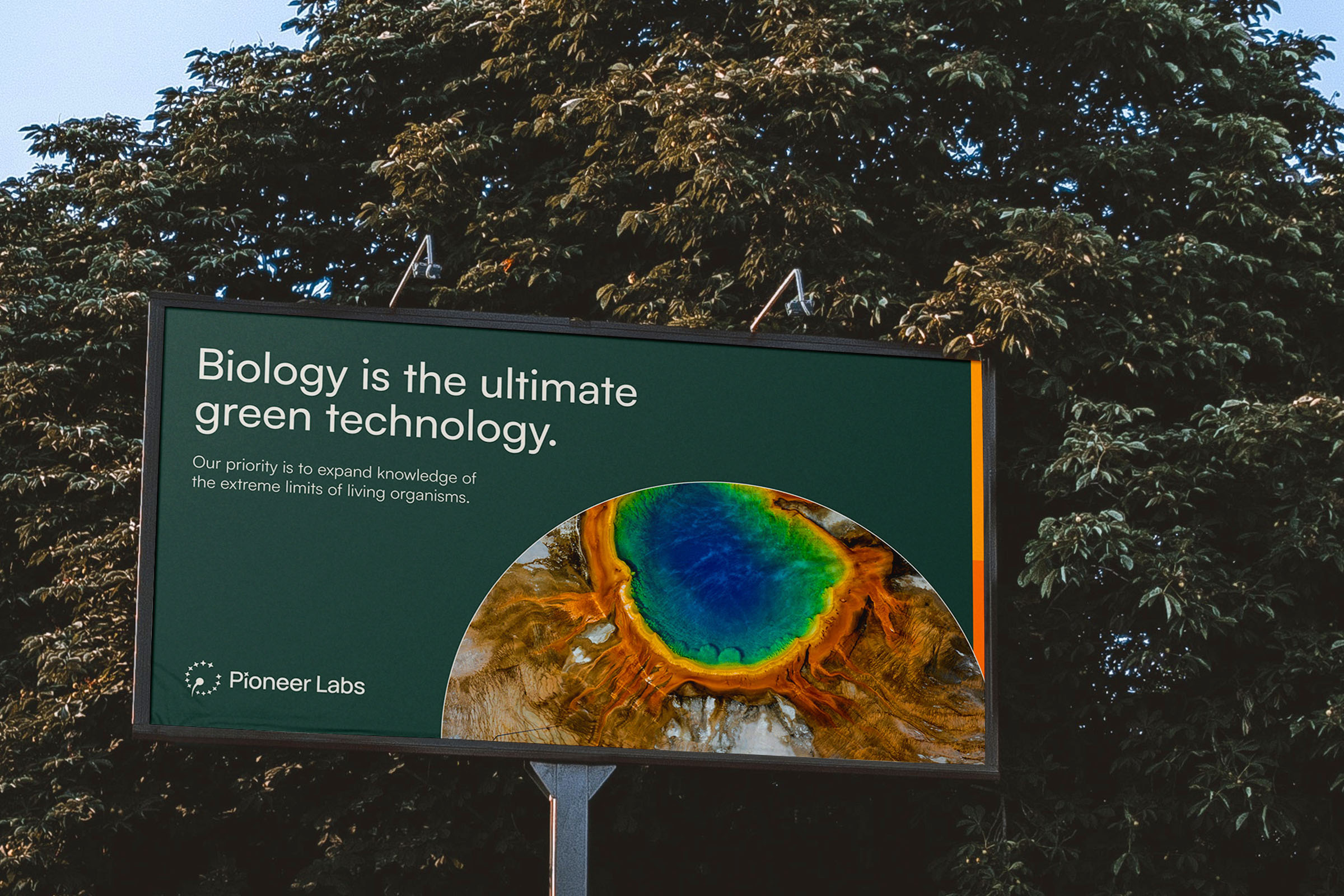 Billboard in a park